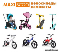 детские самокаты или велосипеды Maxiscoo