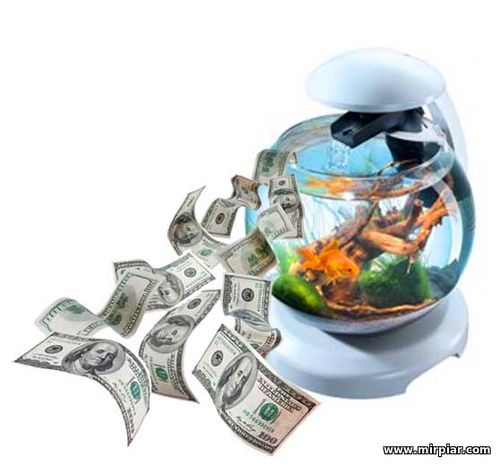 купить аквариум для дома и офиса