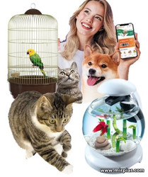 домашние животные: зоомагазин и зоотерапия